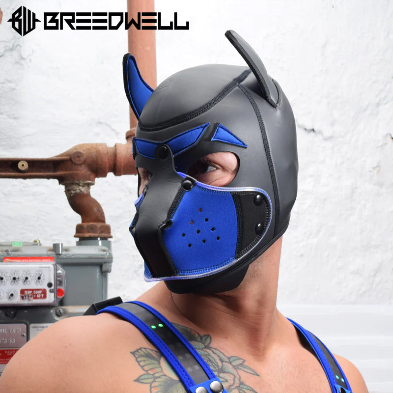 BREEDWELL-Neoprene POUNDTOWN GLOW Puppy Hood - Blue