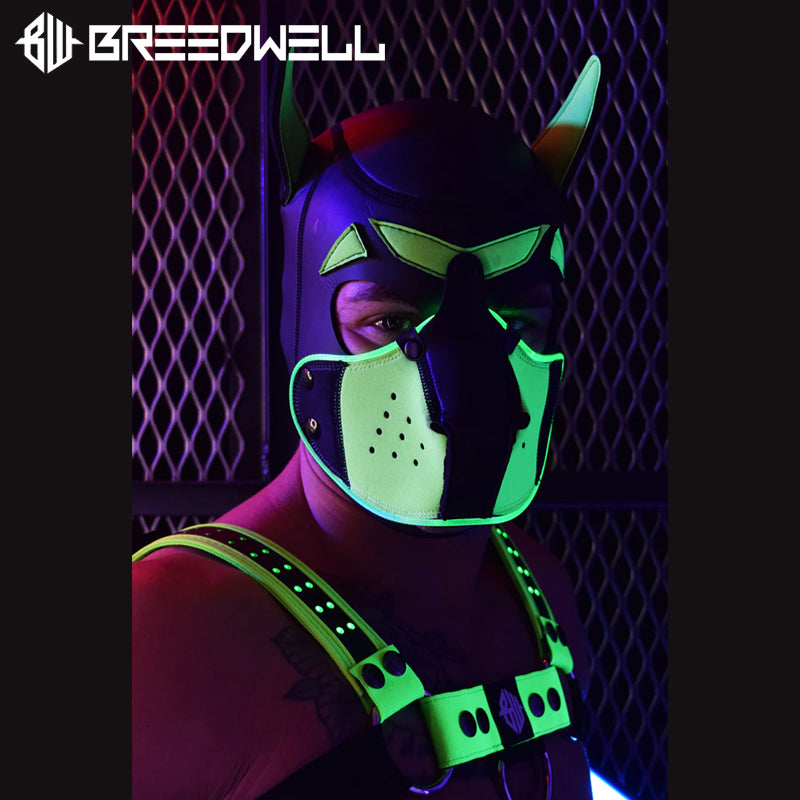 BREEDWELL-Neoprene POUNDTOWN GLOW Puppy Hood - Neon Green