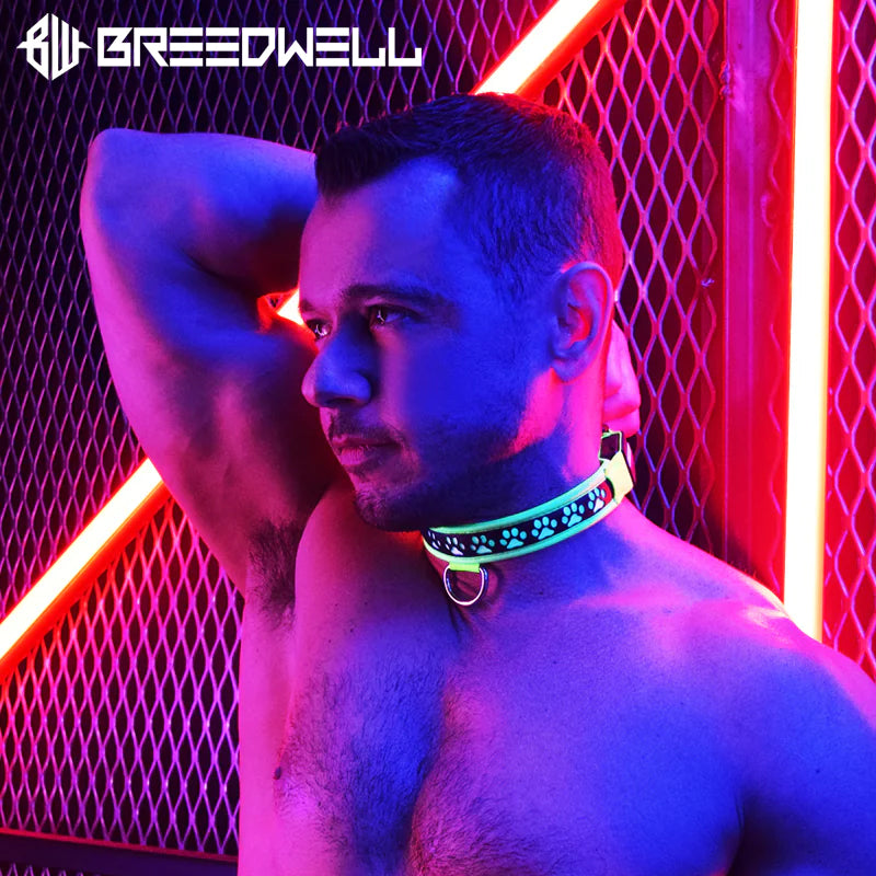 BREEDWELL-POUNDTOWN Puppy LED Collar Leather - Neon Green