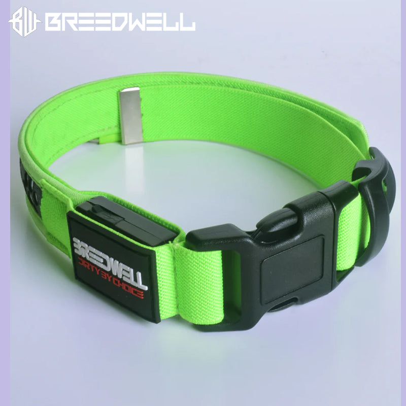 BREEDWELL-POUNDTOWN Puppy LED Collar Leather - Neon Green