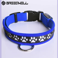 BREEDWELL-POUNDTOWN Puppy LED Collar Leather - Blue