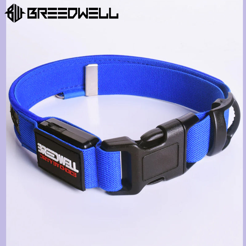 BREEDWELL-POUNDTOWN Puppy LED Collar Leather - Blue