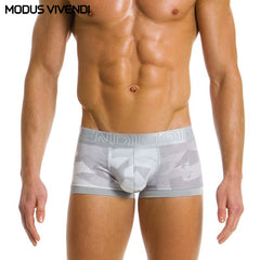 MODUS VIVENDI - Desert Boxer - Grey