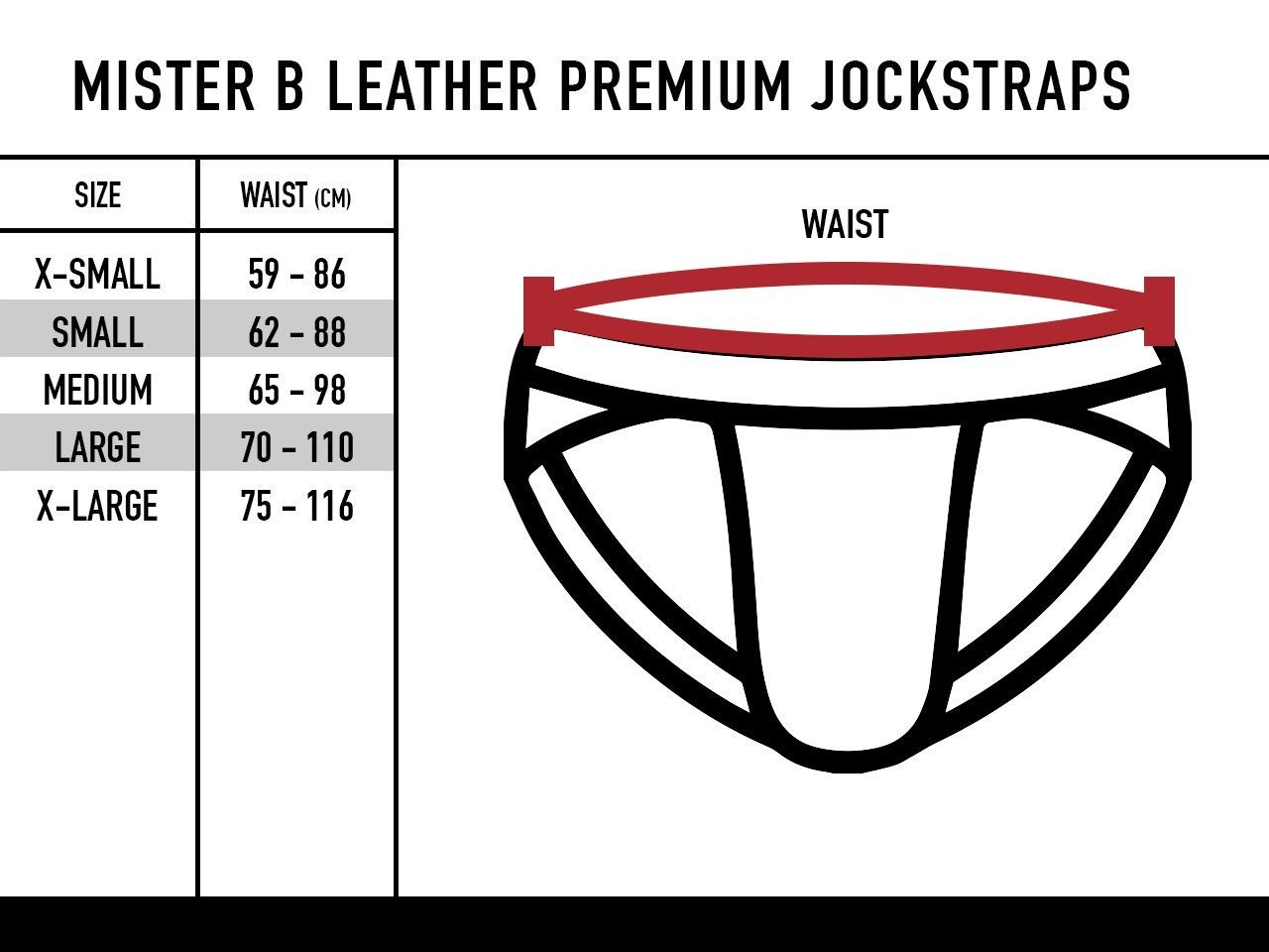 Mister B - Leather Premium Jockstrap - Black Grey