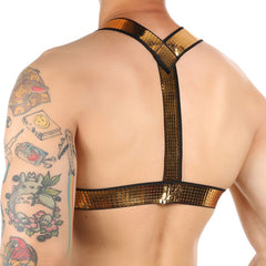 Club Harness Schwarz-Gold Y-Form